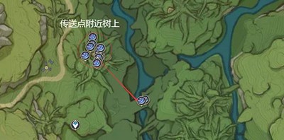 原神树王圣体菇是按照什么收集路线一览 树王圣体菇位置介绍