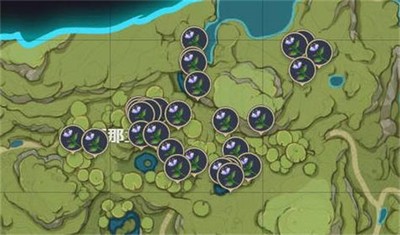 原神帕蒂沙兰分布在什么地方 具体位置一览