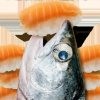 鲑鱼吃寿司手机版 v1.18