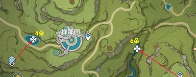 原神月莲收集路线是什么 哪里可以找到培养材料月莲