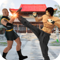 空手道之王 v3.16