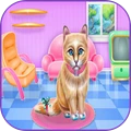 猫护理 v0.1安卓版