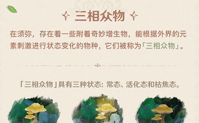 原神雕琢童心掠影拾真是怎么玩的 掠影拾真拍摄地点介绍