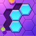 六边形拼图大师游戏安卓版 v0.9