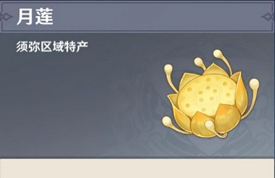 原神月莲收集路线是什么 哪里可以找到培养材料月莲