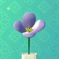 插花 v3.0