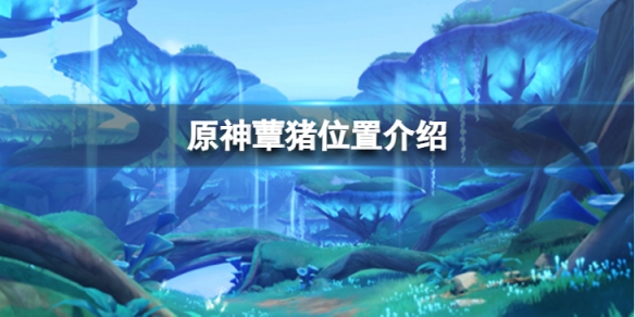 《原神》蕈猪位置介绍