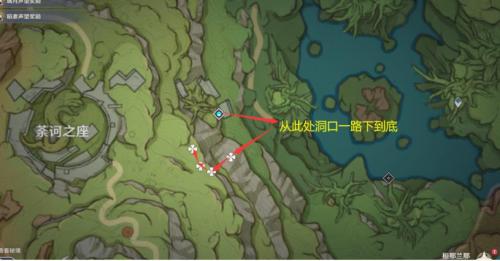《原神》须弥月莲具体位置介绍