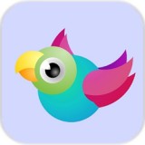 欢快的鸟儿 v1.6