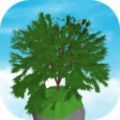 空闲树安卓版 v0.100