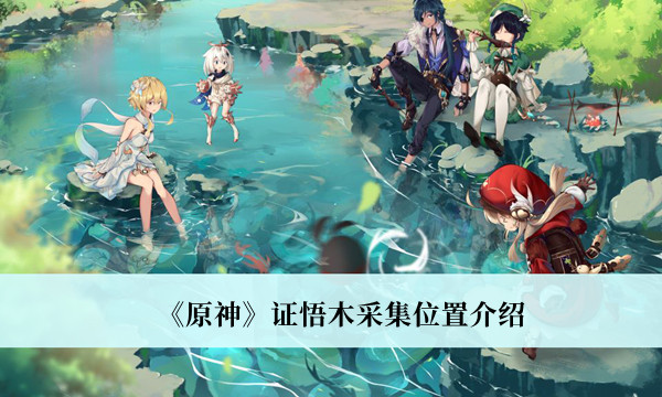 《原神》证悟木采集位置介绍