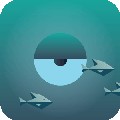 鲸鱼跑酷 v1.2