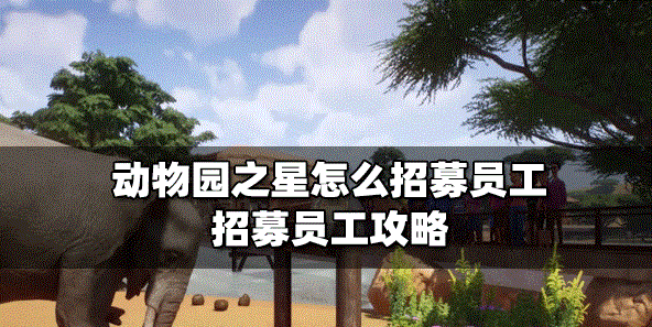 动物园之星员工怎么招募 招募员工方法介绍