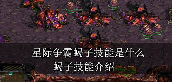 星际争霸蝎子有哪些技能 蝎子技能介绍