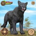 黑色美洲豹 v1.1