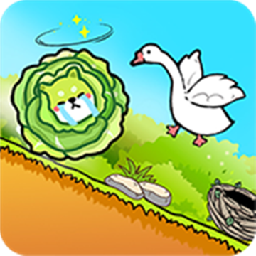 头脑王者小游戏