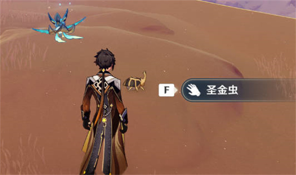 《原神》圣金虫分布位置一览