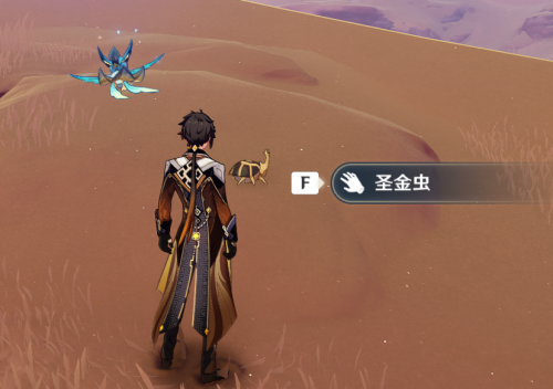《原神》圣金虫采集位置大全