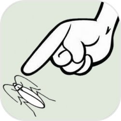 按死蟑螂 v1.0.23