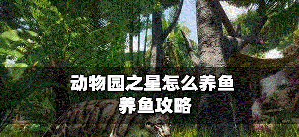 动物园之星养鱼是怎么养的 养鱼攻略