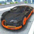 街头赛车手 v1.0.2