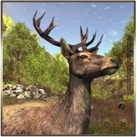 动物猎人丛林狙击手射击 v1.11