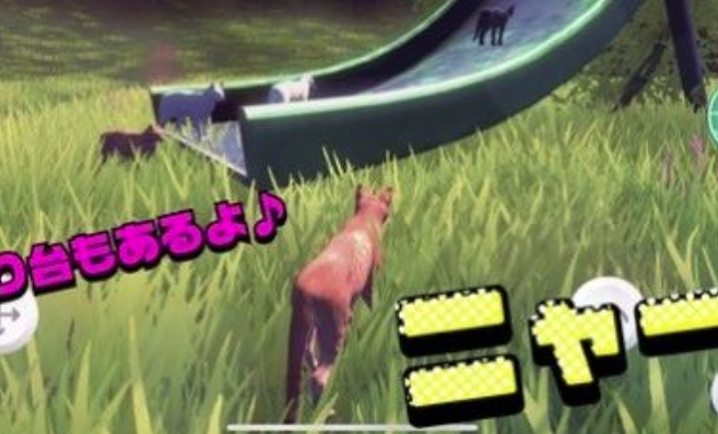 猫的春天ネコデ?ス 猫的春天ネコデ?ス