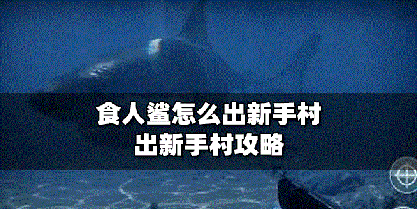 食人鲨新手村怎么出去 出新手村攻略