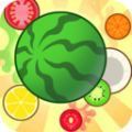 合个大西瓜消消乐安卓版 v1.0.0