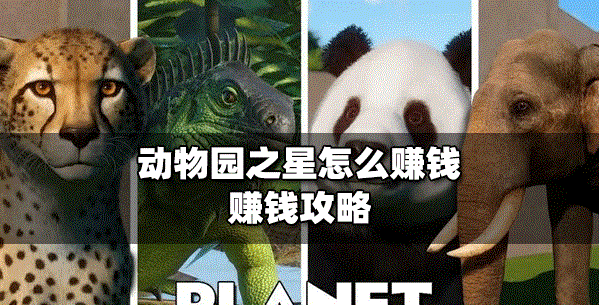 怎么在动物园之星赚钱 赚钱攻略