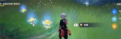 原神活化的星蕈是怎么采集的 游戏最全采集攻略