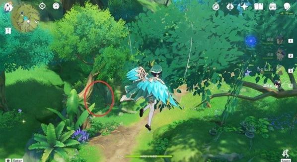 《原神》童梦的切片下方藤蔓解密攻略介绍