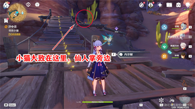 《原神》沙中花喂猫委托分支任务攻略介绍