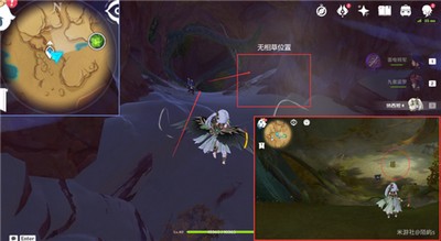 原神无相之草位置一览 原神无相之草位置一览