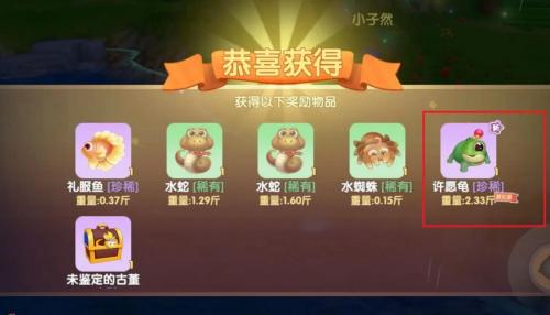 《摩尔庄园》许愿龟获取攻略