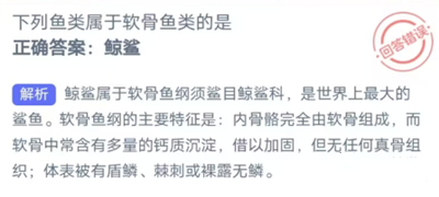 《支付宝》2023.4.13神奇海洋科普问答答案