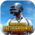 PUBG MOBILE(国际服)官方正式版  v2.8.0