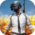 pubg体验服下载1.9官方手机版  v2.9.0