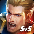 王者荣耀俄罗斯服版本官网游戏下载  v9.1.1.1