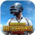pubg mobile(国际服)安卓下载安装最新版  v2.8.0