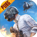 PUBGMOBILE国际服战栗逃生官方下载  v3.0.0