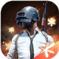 pubg国际服2024枪械皮肤美化版安装包最新版  v2.8.0