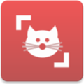 猫咪鉴定器(拍照识别猫咪种类app)