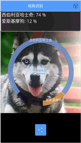 拍照识别狗狗品种软件app