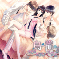鸟笼婚姻汉化版 v1.0