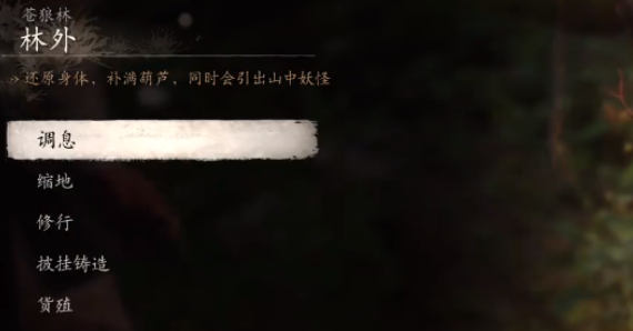 《黑神话:悟空》黑风山苍狼林打坐点位置介绍