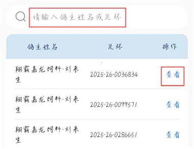 青鸽网2026最新版本 青鸽网2026最新版本