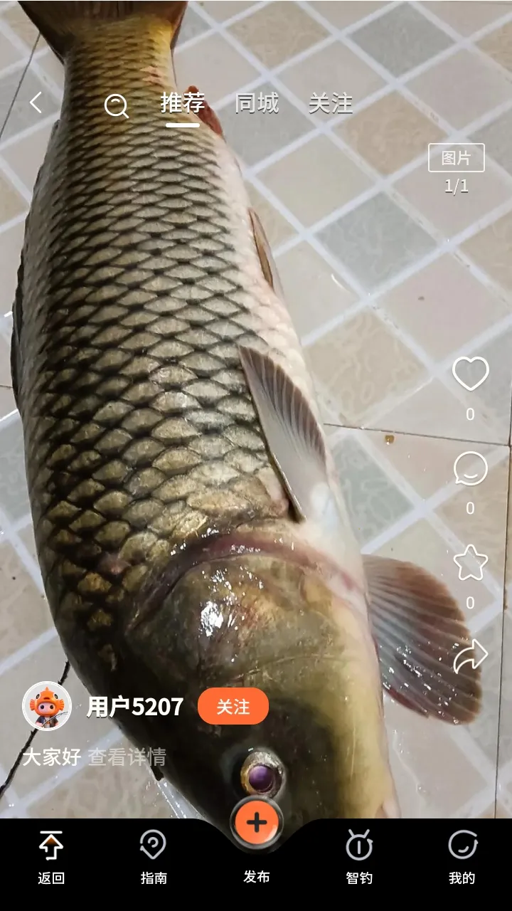 小红鱼最新版本2026 小红鱼最新版本2026