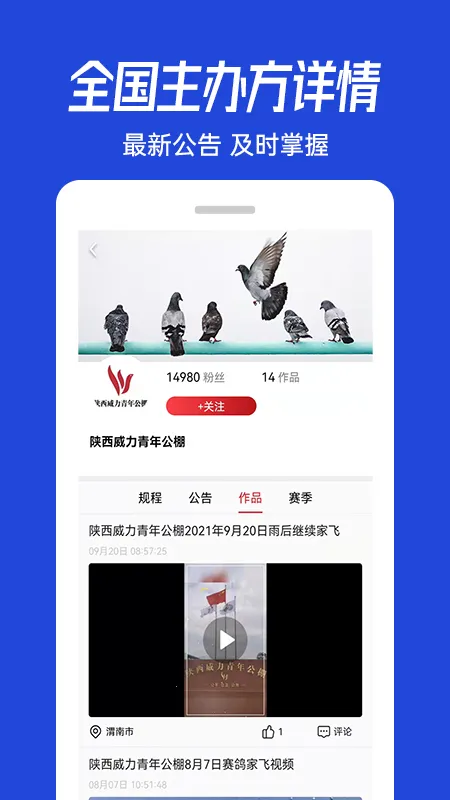 青鸽网2026最新版本 青鸽网2026最新版本