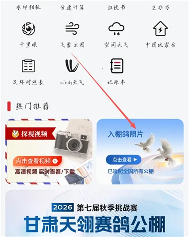 青鸽网2026最新版本 青鸽网2026最新版本